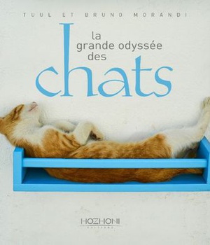 LA GRANDE ODYSSEE DES CHATS
