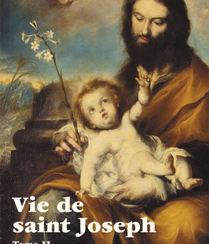 VIE DE SAINT JOSEPH - TOME 2 - DU SEJOUR EN EGYPTE A LA MORT DE JOSEPH