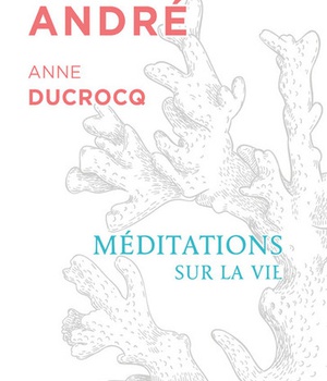 MEDITATIONS SUR LA VIE