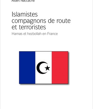 HAMAS - HEZBOLLAH EN FRANCE - ISLAMISTES COMPAGNONS DE ROUTE ET TERRORISTES TOME 2
