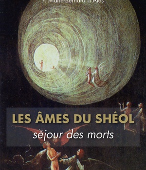 LES AMES DU SHEOL, SEJOUR DES MORTS (POCHE)