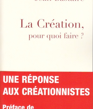LA CREATION, POUR QUOI FAIRE ?