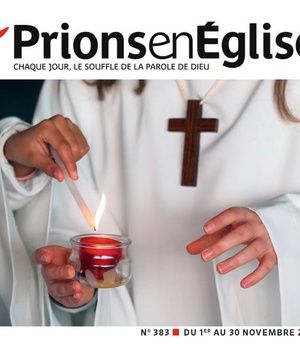 PRIONS GD FORMAT - NOVEMBRE 2018 N 383