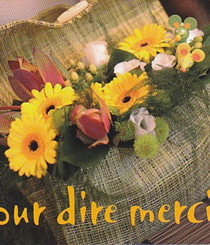MP135 - POUR DIRE MERCI