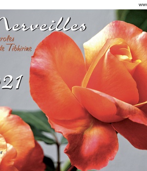 CALENDRIER 12 MERVEILLES 2021 150 X 210 DPTS DPTS