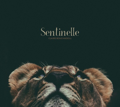 SENTINELLE - CD AUDIO