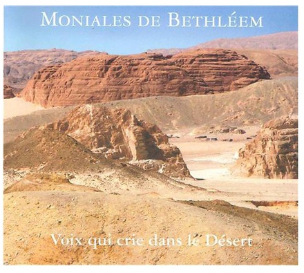 VOIX QUI CRIE DANS LE DESERT