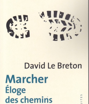 MARCHER - ELOGE DES CHEMINS ET DE LA LENTEUR