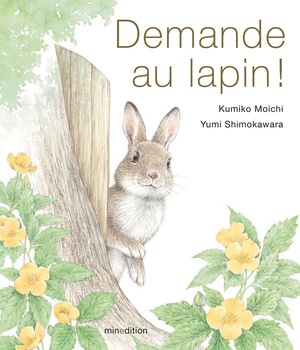 DEMANDE AU LAPIN !