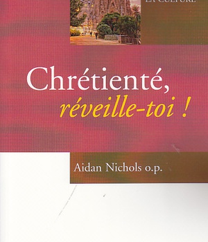 CHRETIENTE, REVEILLE-TOI ! - REDYNAMISER L'EGLISE DANS LA CULTURE