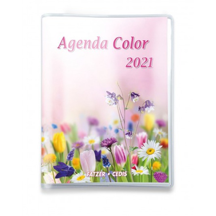 AGENDA COLOR 2021 NDSP