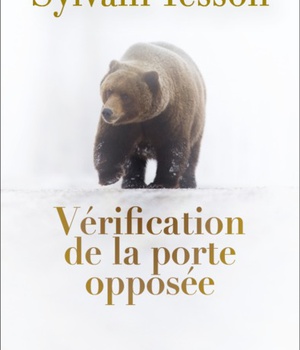VERIFICATION DE LA PORTE OPPOSEE