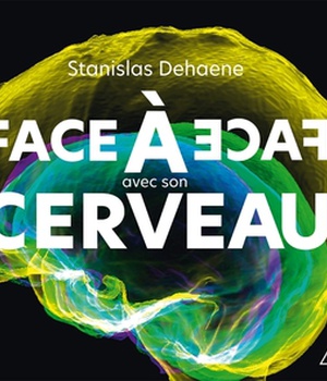 FACE A FACE AVEC SON CERVEAU
