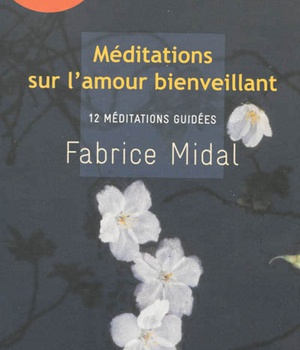 MEDITATIONS SUR L'AMOUR BIENVEILLANT - LIVRE AUDIO 3 CD AUDIO : 2CD DE 12 MEDITATIONS ET 1 CD D'ENSE