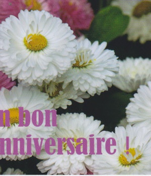 MP111 - UN BON ANNIVERSAIRE !