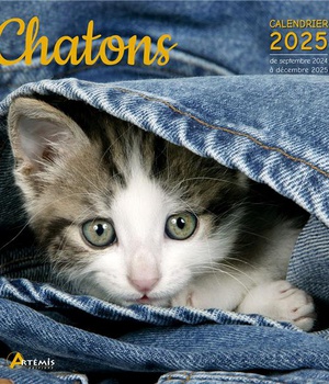 CALENDRIER CHATONS 2025