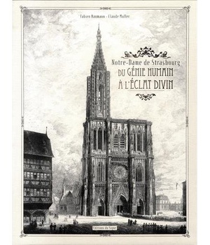 NOTRE-DAME DE STRASBOURG DU GENIE.HUMAIN A L'ECLAT DIVIN LIVRE-OBJET+COFFRET