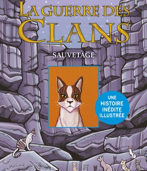 HORS COLLECTION SERIEL - LA GUERRE DES CLANS ILLUSTREE - CYCLE IV LE CLAN DU CIEL ET L'ETRANGER - TO