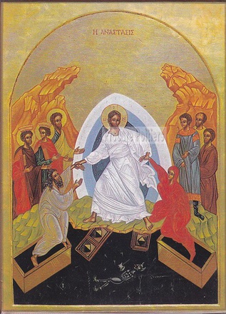 ICONE RESURRECTION NDSP