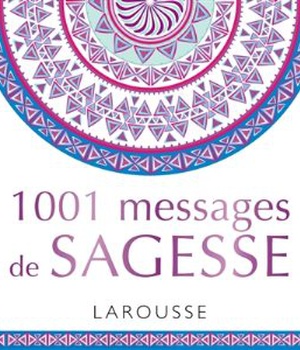 1001 MESSAGES DE SAGESSE