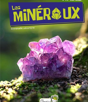 LES MINERAUX