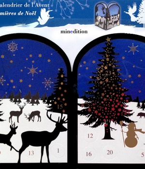 CALENDRIER DE L'AVENT - LUMIERES DE NOEL - DIVERS
