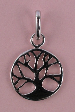 MEDAILLE ARGENT ICHTUS