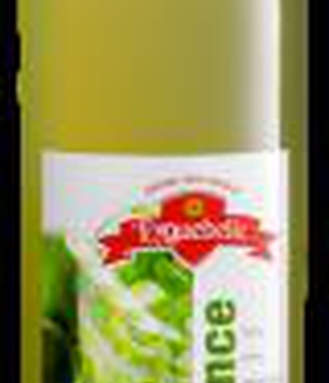 SIROP MOJITO MENTHE CITRON VERT 50 CL