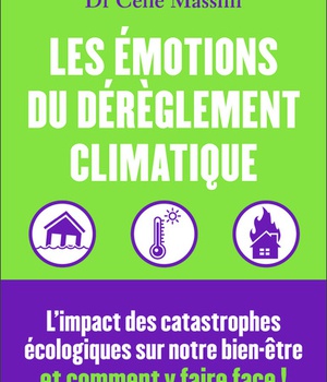 LES EMOTIONS DU DEREGLEMENT CLIMATIQUE - L'IMPACT DES CATASTROPHES ECOLOGIQUES SUR NOTRE BIEN-ETRE E