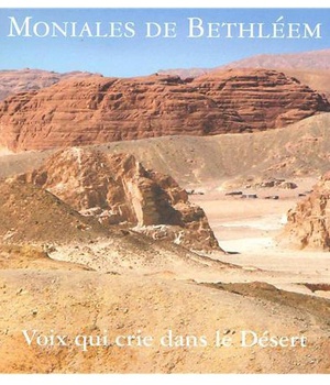 VOIX QUI CRIE DANS LE DESERT