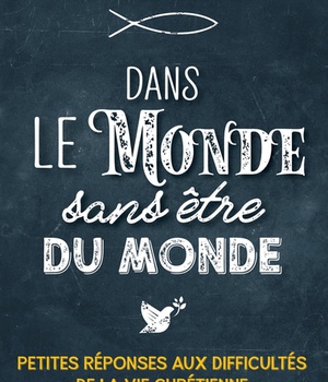 DANS LE MONDE SANS ETRE DU MONDE - PETITES REPONSES AUX DIFFICULTES DE LA VIE CHRETIENNE