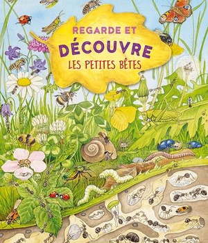 REGARDE ET DECOUVRE - LES PETITES BETES
