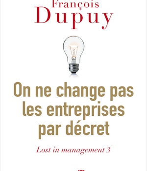 ON NE CHANGE PAS LES ENTREPRISES PAR DECRET - LOST IN MANAGEMENT VOL. 3