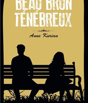 BEAU BRUN TENEBREUX - ROMAN