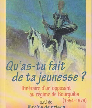 QU'AS-TU FAIT DE TA JEUNESSE ?