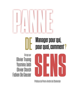 PANNE DE SENS - MANAGER POUR QUI, POUR QUOI, COMMENT ?