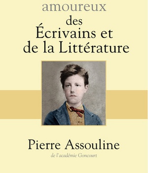DICTIONNAIRE AMOUREUX DES ECRIVAINS ET DE LA LITTERATURE