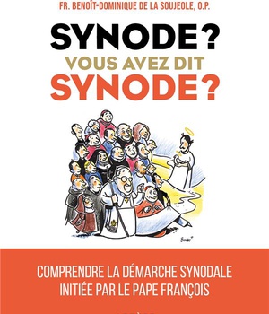 SYNODE ? VOUS AVEZ DIT SYNODE ? - COMPRENDRE LA DEMARCHE SYNODALE INITIEE PAR LE PAPE FRANCOIS