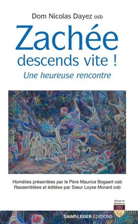 ZACHEE, DESCENDS VITEA ! - UNE HEUREUSE RENCONTRE