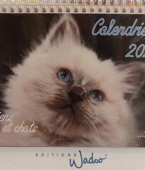 CALENDRIER 2020 CHIENS ET CHATS ( NDSP DPTS )