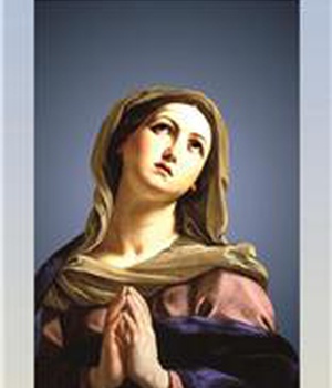 LIVRET DE NEUVAINE A LA VIERGE MARIE