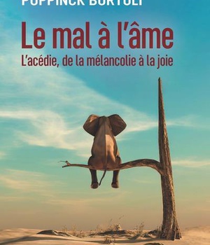 LE MAL A L'AME - L'ACEDIE, DE LA MELANCOLIE A LA JOIE