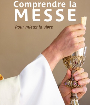 LOT DE 50 EXEMPLAIRES - COMPRENDRE LA MESSE - POUR MIEUX LA VIVRE