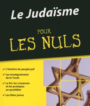 LE JUDAISME POCHE POUR LES NULS