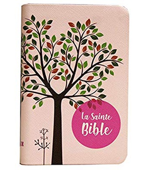 BIBLE SEGOND 1910 - ROSE