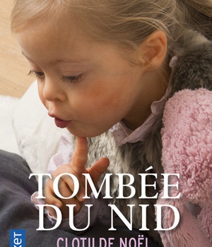TOMBEE DU NID
