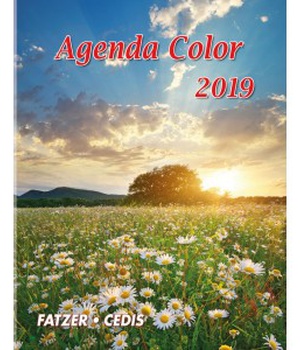 AGENDA COLOR 2019