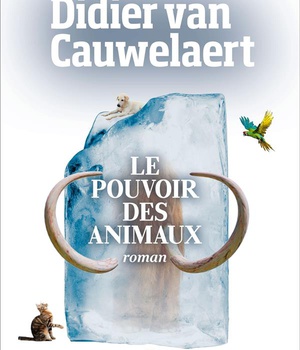LE POUVOIR DES ANIMAUX