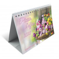 CALENDRIER PLAISIR D OFFRIR 2020 GROS CARACTERES NDSP