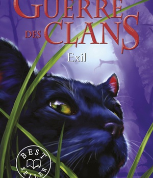 LA GUERRE DES CLANS CYCLE III - TOME 3 EXIL - VOL03